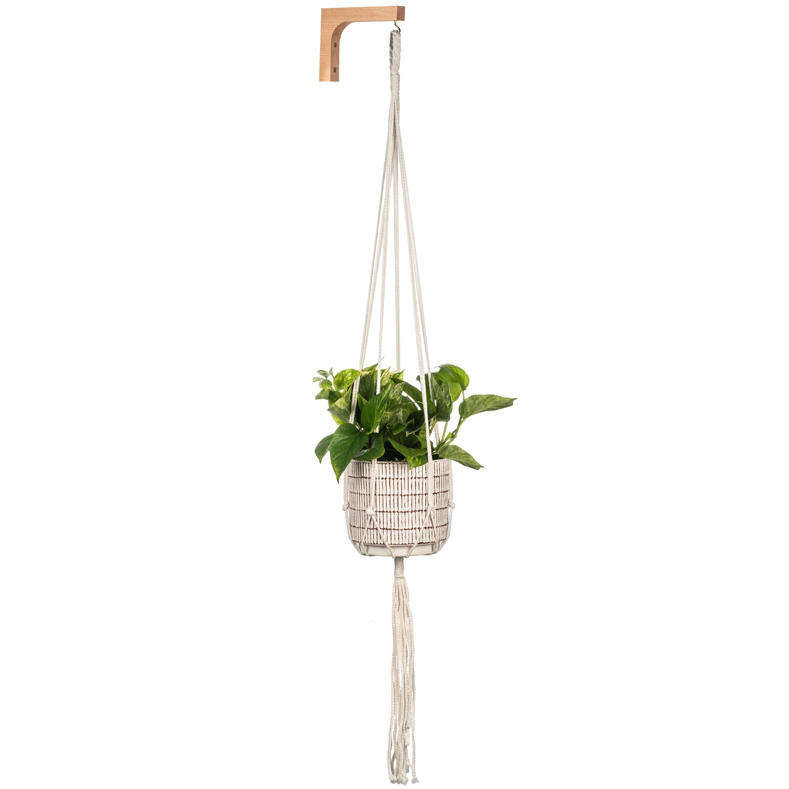 Macrame Plant Hanging Kit